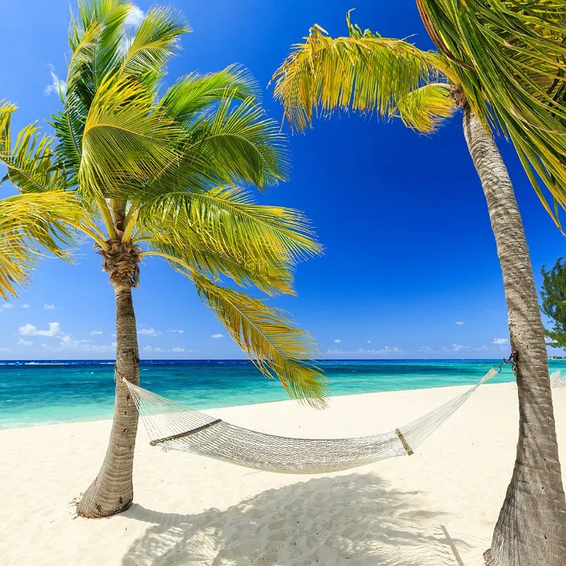 Beach In The Cayman Islands, Caribbean Sea