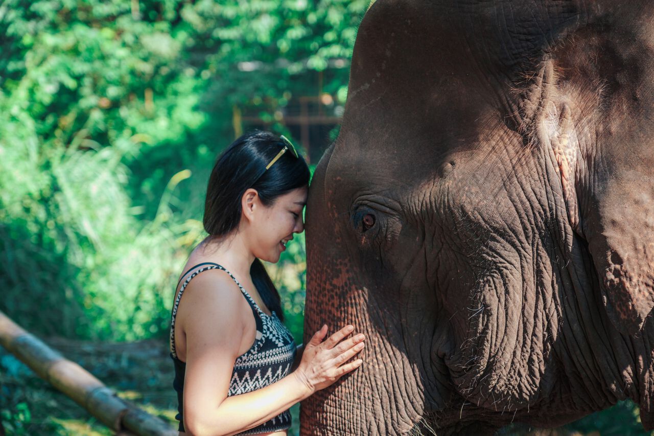 A woman with an elephant in Chiang Mai