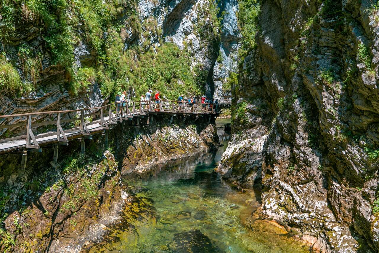 The elevated wooden walking path at Vintgar Gorge, Lake Bled