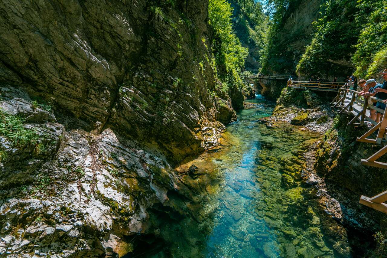 People looking at the clear water at Vintgar Gorge, Lake Bled
