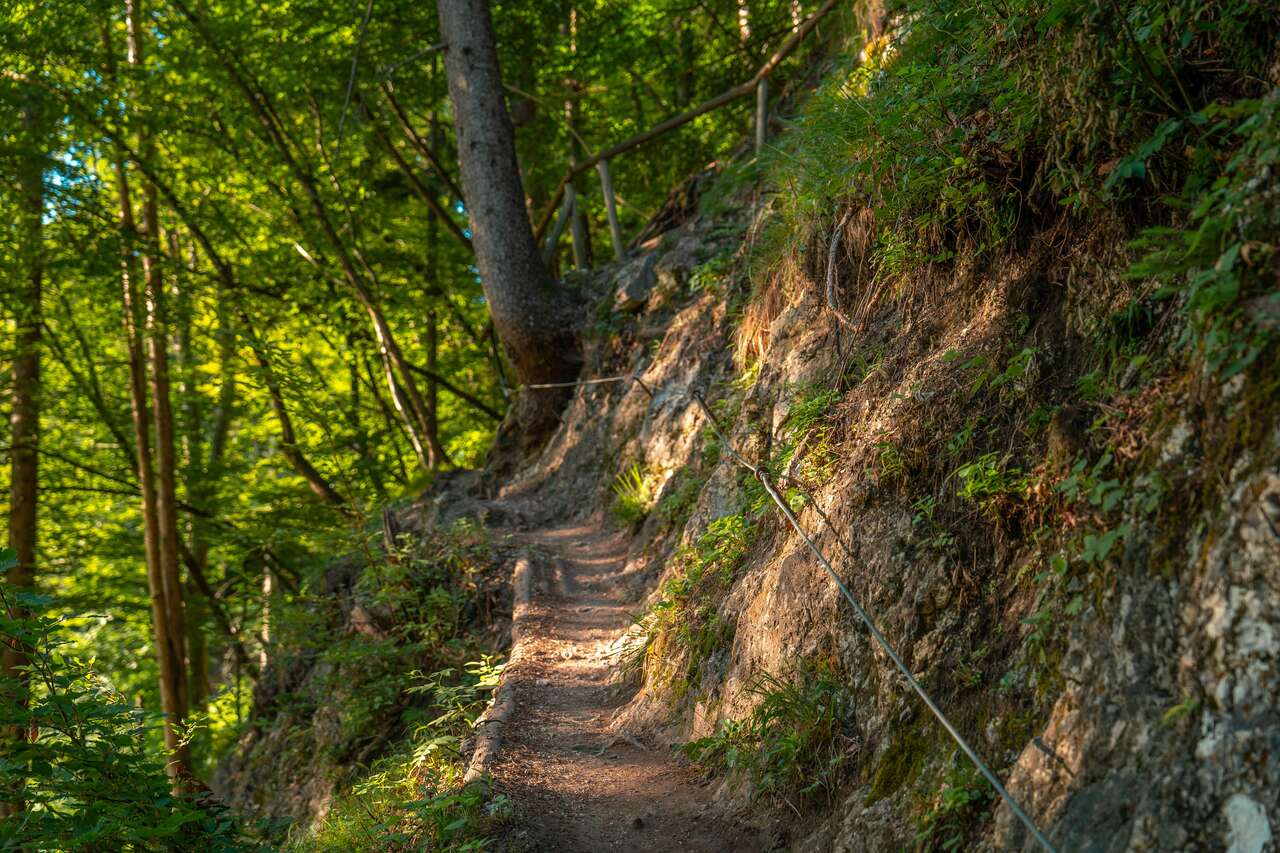 A roped trail towards Mala Osojnica at Lake Bled