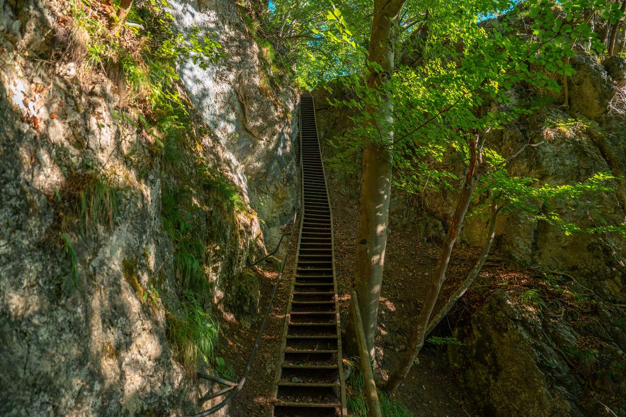 The stairs up Mala Osojnica in Lake Bled
